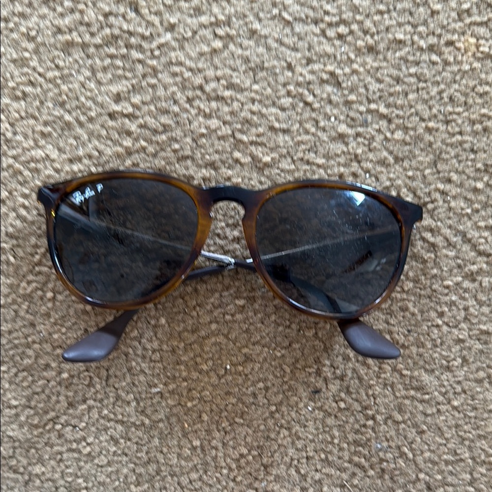 Ray Ban Erika Sunglasses
